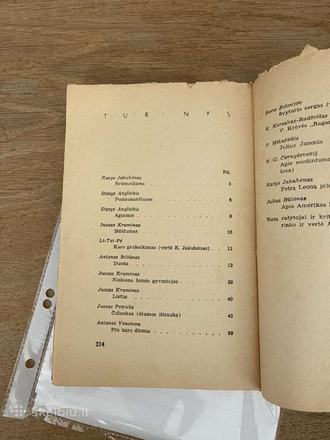 Prošvaistė. Iv knyga. Literatrinių raštų rinkinys - nuotraukos Nr. 8