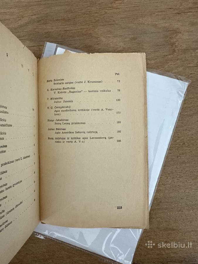 Prošvaistė. Iv knyga. Literatrinių raštų rinkinys - nuotraukos Nr. 9