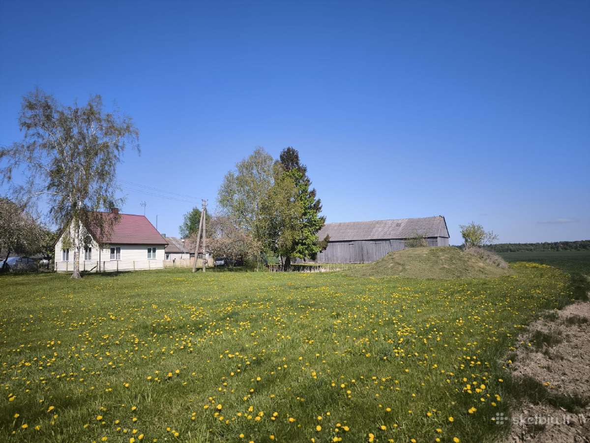Sodyba su 15 ha žemės Jurbarko r. - nuotraukos Nr. 10