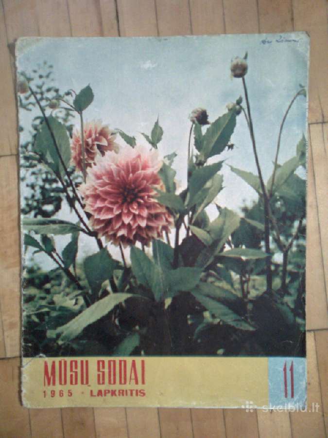 Zurnalas "Musu sodai" 1965m. 11 nr.