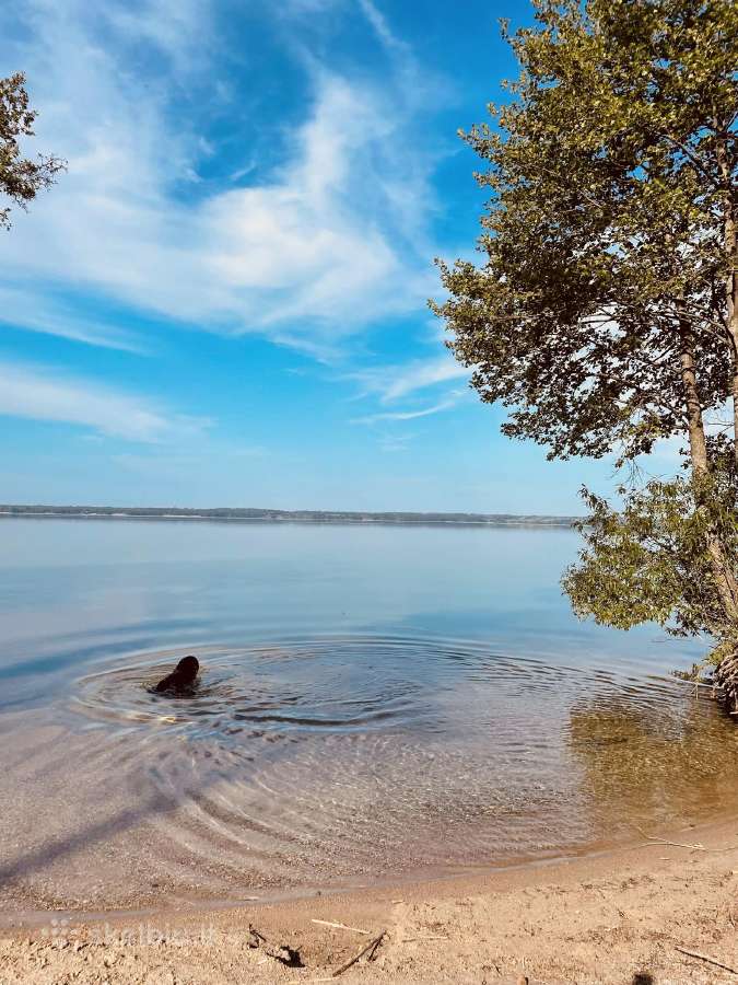 Poilsis prie Dusios ežero "Pas Aureliją" - nuotraukos Nr. 31
