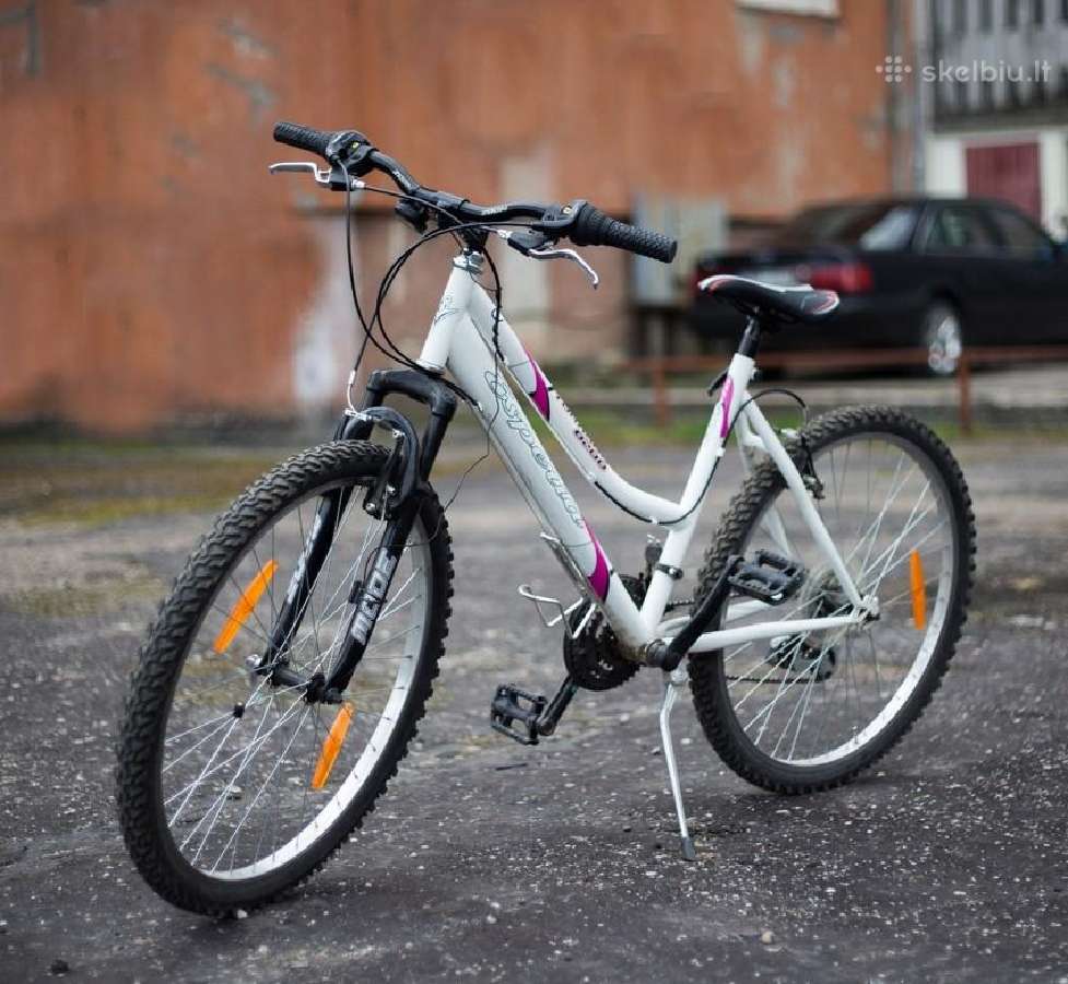 Dviratis baltas 20"