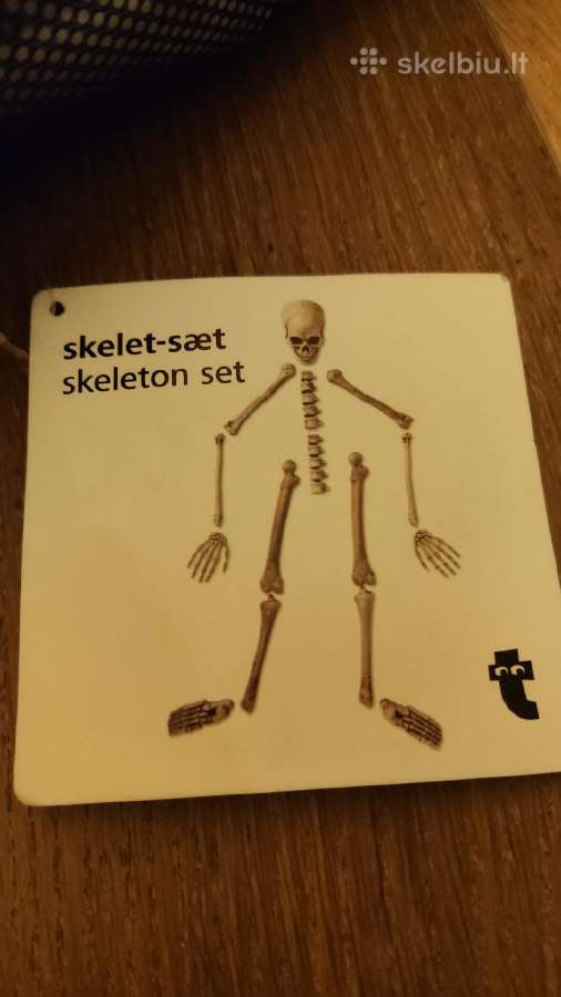 Skeleto rinkinys - nuotraukos Nr. 2