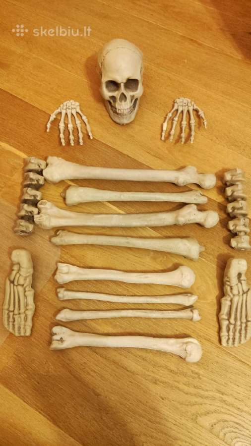 Skeleto rinkinys