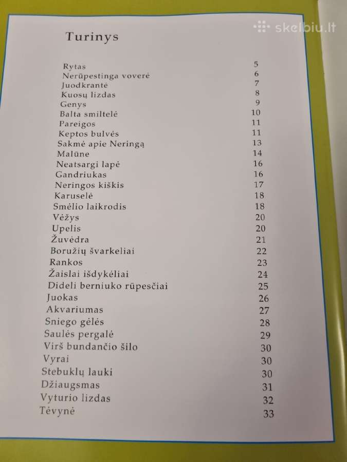 Vyturio lizdas - nuotraukos Nr. 5