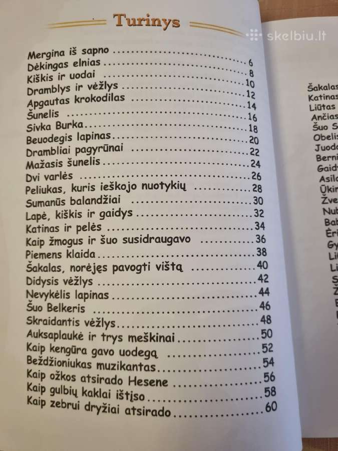 55 Kitokios pasakos - nuotraukos Nr. 3