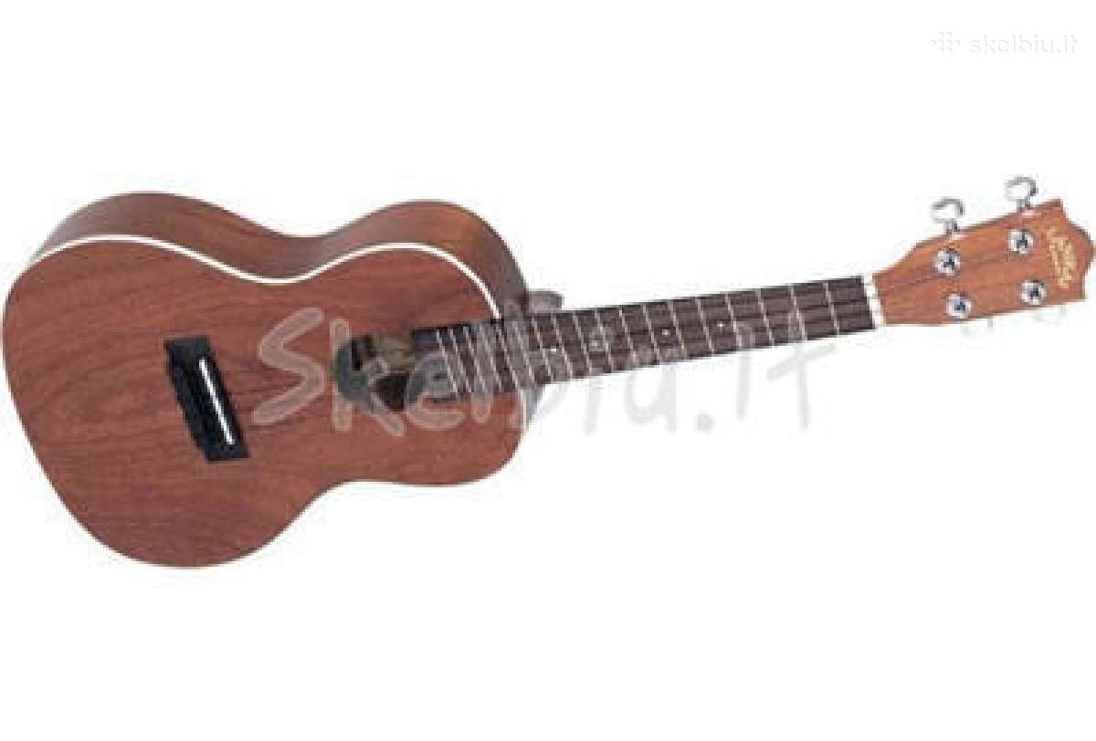 Įvairios gitaros, ukulėlės - nuotraukos Nr. 5