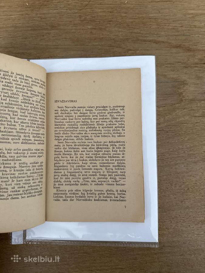 Po rūsčiuoju dangum 1948 m. - nuotraukos Nr. 3