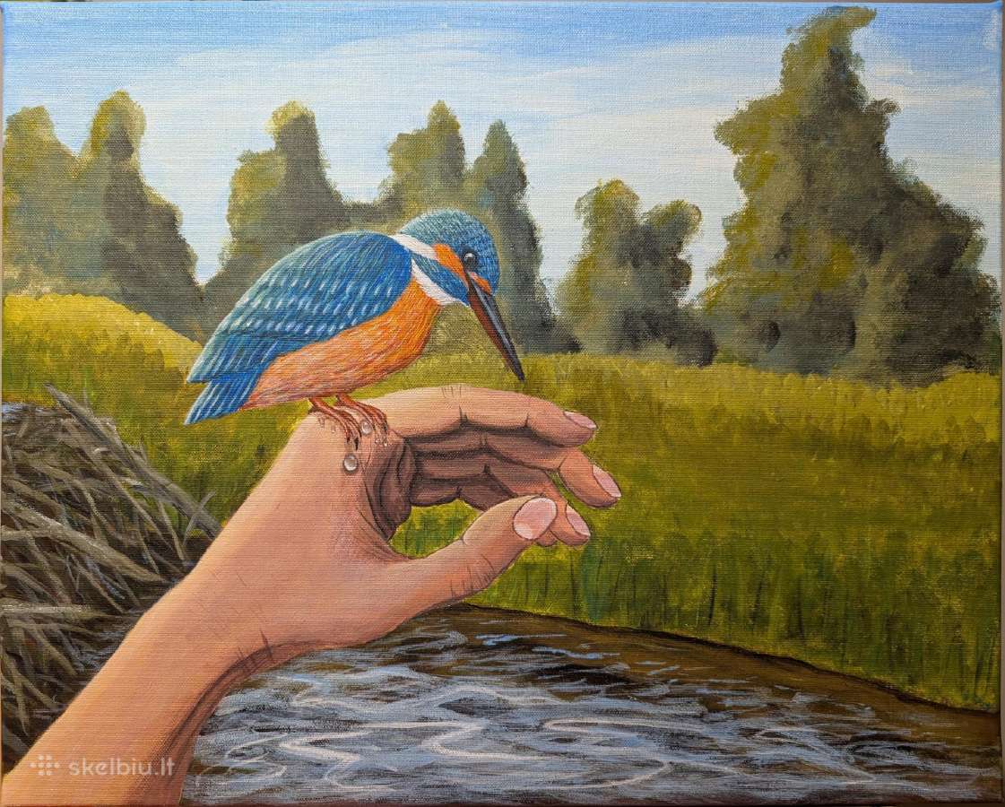Paveikslas 50x40 cm