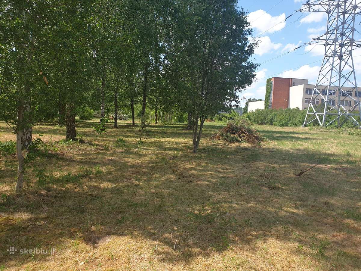 Pjauname aukšta žolę su traktorium, mulčiavims - nuotraukos Nr. 10