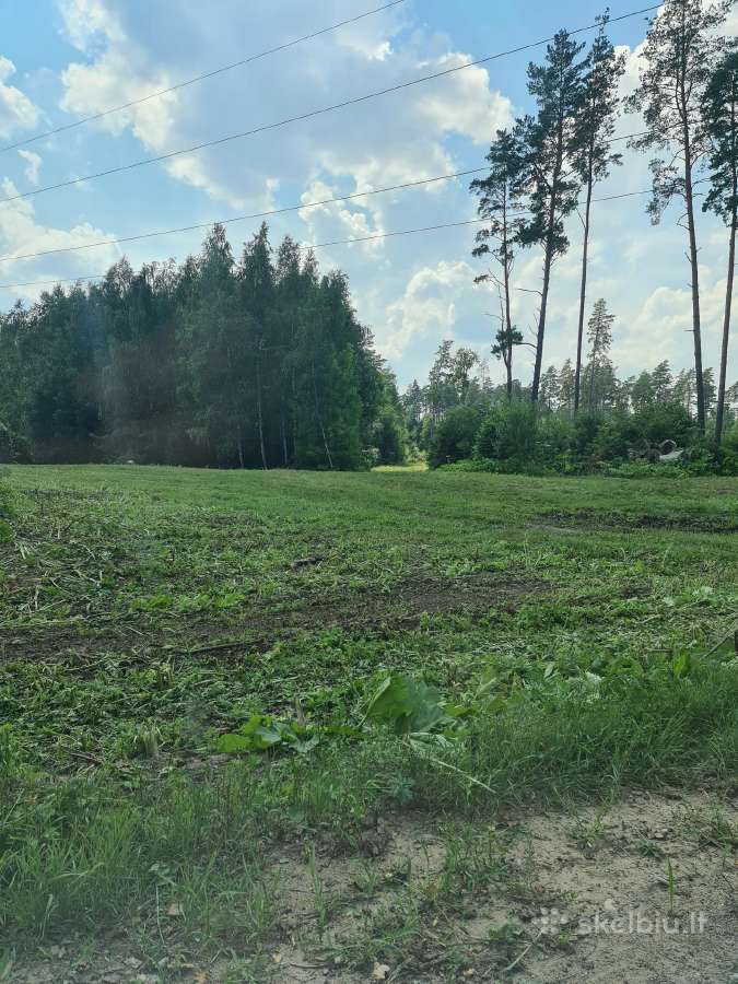 Pjauname aukšta žolę su traktorium, mulčiavims - nuotraukos Nr. 14