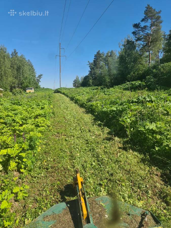 Pjauname aukšta žolę su traktorium, mulčiavims - nuotraukos Nr. 15