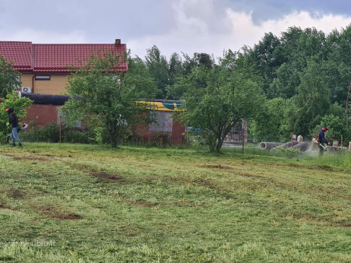Pjauname aukšta žolę su traktorium, mulčiavims - nuotraukos Nr. 17