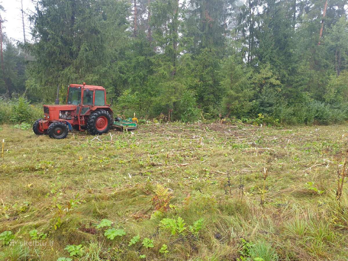 Pjauname aukšta žolę su traktorium, mulčiavims - nuotraukos Nr. 19
