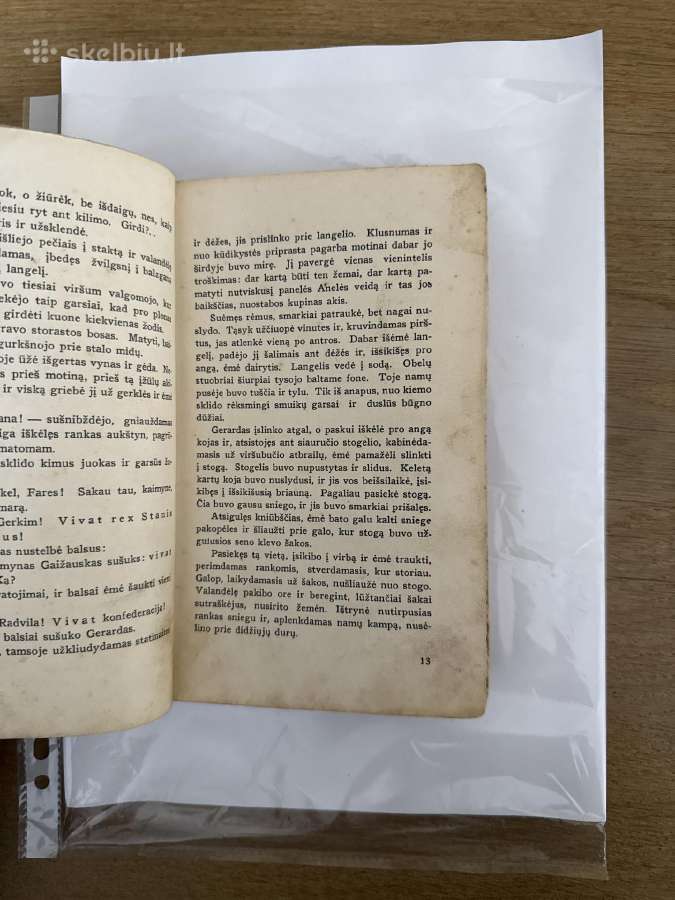 Blaškomos liepsnos I tomas. 1936 m. - nuotraukos Nr. 4