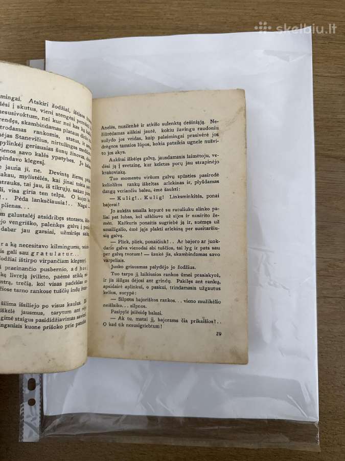 Blaškomos liepsnos I tomas. 1936 m. - nuotraukos Nr. 5