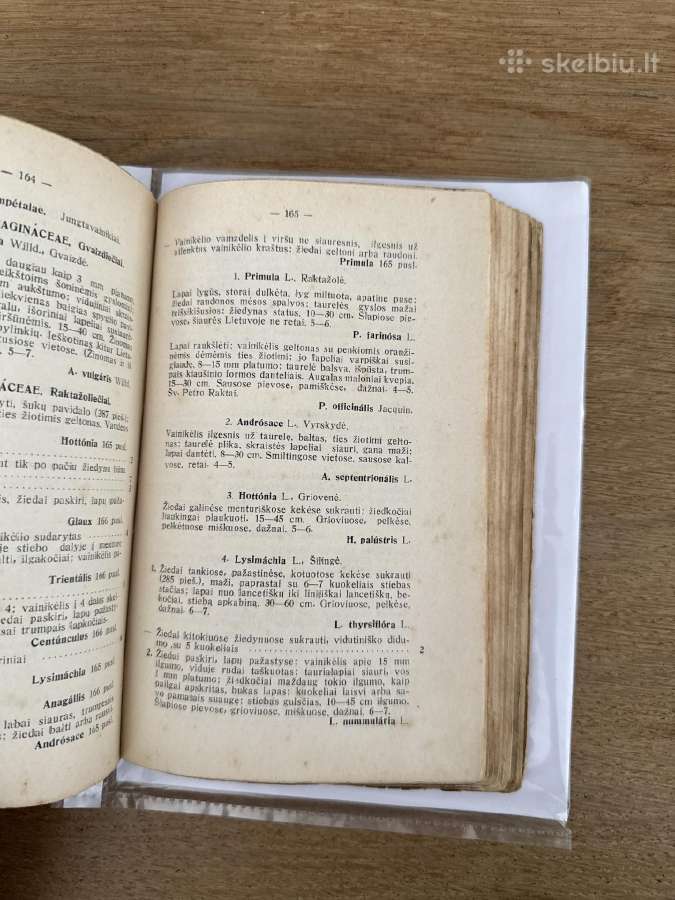 Vadovas Lietuvos augalams pažinti 1934 m. - nuotraukos Nr. 7