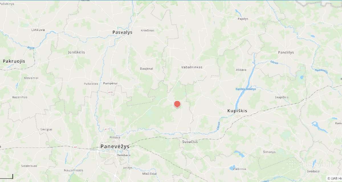 Parduodamas miškas Panevėžio raj. Prūselių k. - nuotraukos Nr. 4