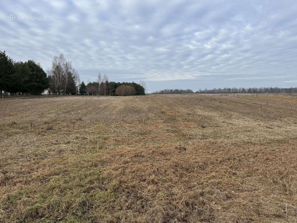 Parduodami 5 namų valdos sklypai Veiveriuose - nuotraukos Nr. 2