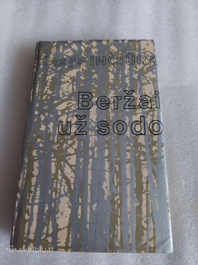 Beržai už sodo