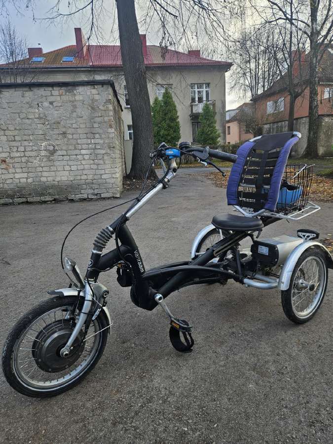 Elektrinis triratis Vanraam Easy Rider Junior