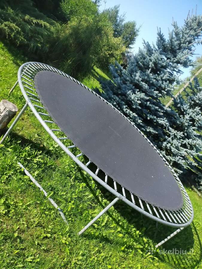 Vokiskas didelis batutas