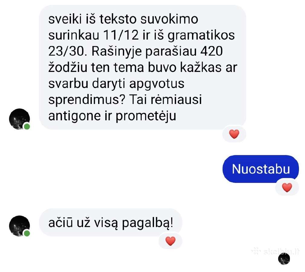 Lietuvių kalbos mokytoja korepetitorė - nuotraukos Nr. 8
