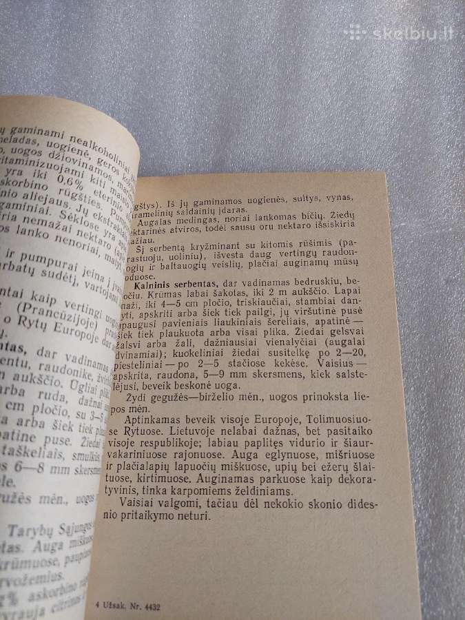 Lietuvos laukiniai vaisiniai augalai - nuotraukos Nr. 3