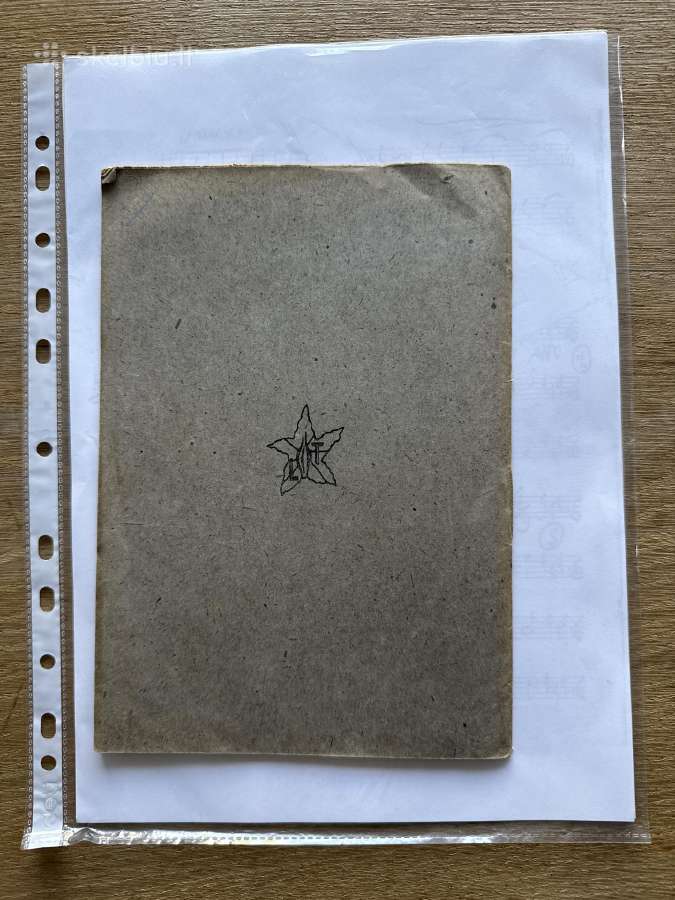 Gegužio šventė 1920 m. - nuotraukos Nr. 7