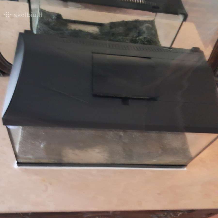 Akvariumas žuvytėms 50 litrų - nuotraukos Nr. 2