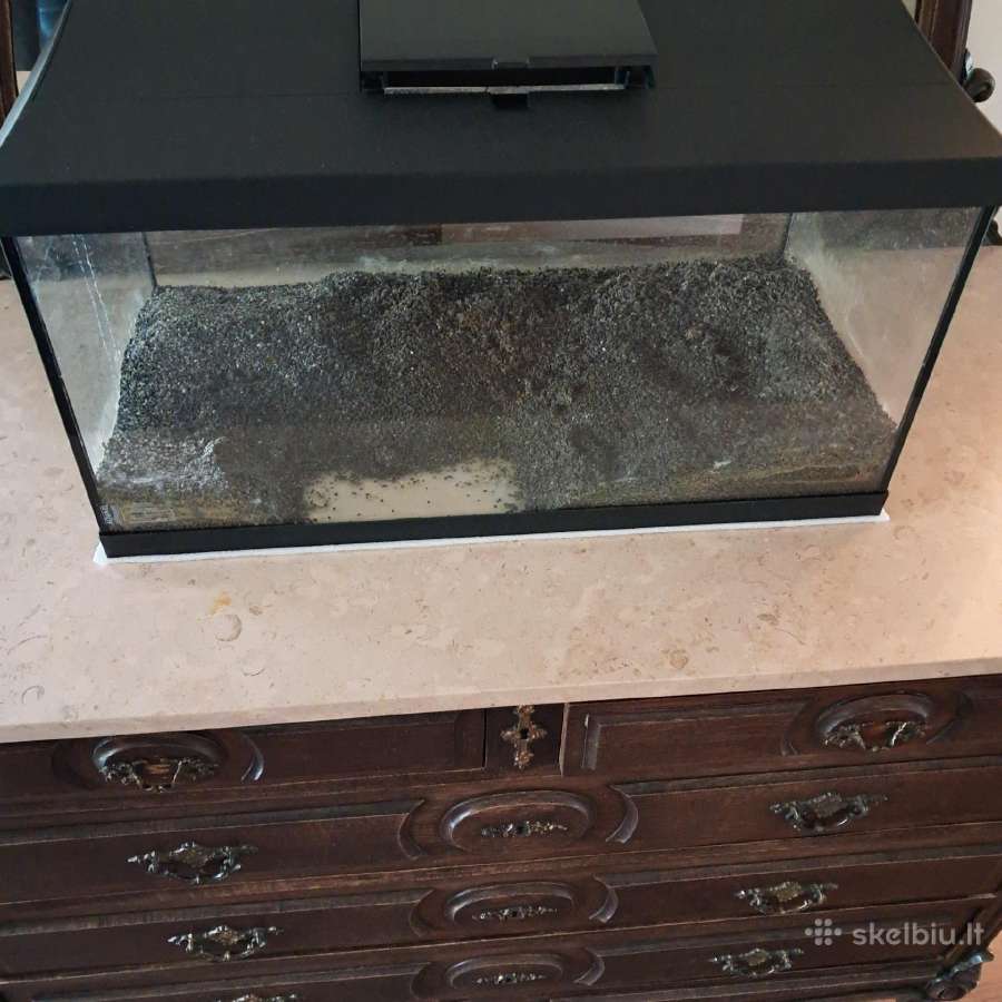 Akvariumas žuvytėms 50 litrų