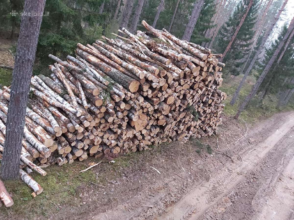 Malkos -rąsteliais. - nuotraukos Nr. 4