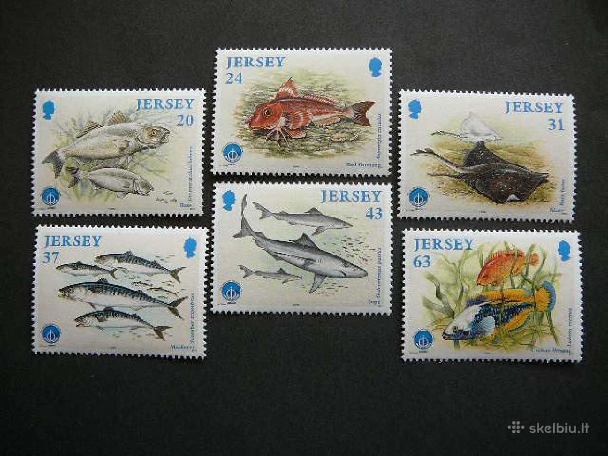 Zuvys Fauna juros Jersey 1998 svarus ukj899