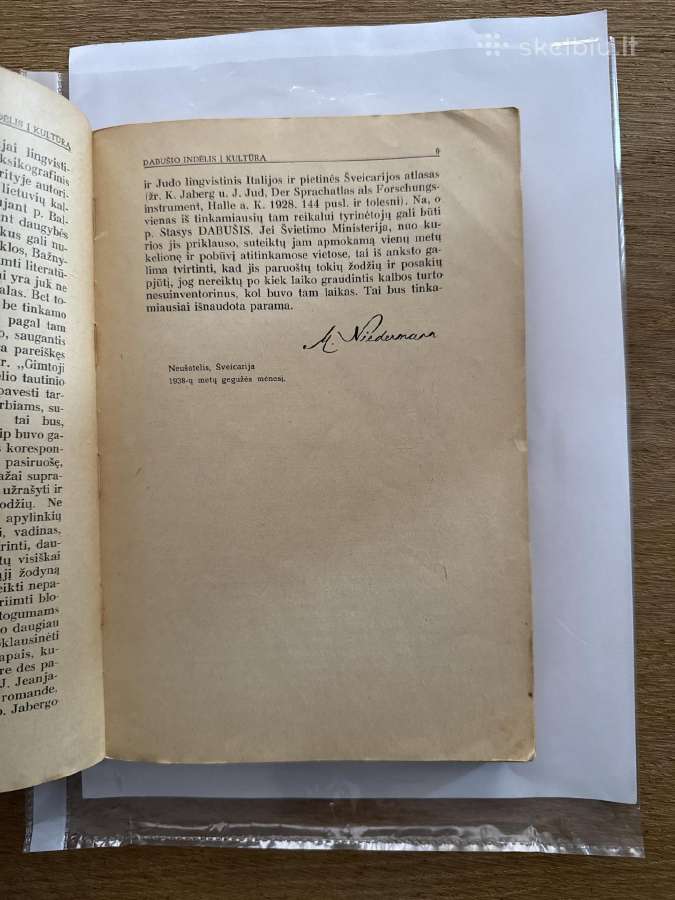 Dabušio indėlis į kultūrą 1938 m. - nuotraukos Nr. 3