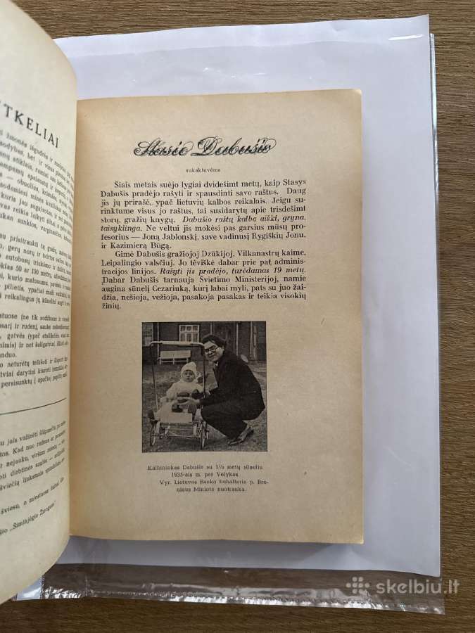 Dabušio indėlis į kultūrą 1938 m. - nuotraukos Nr. 4