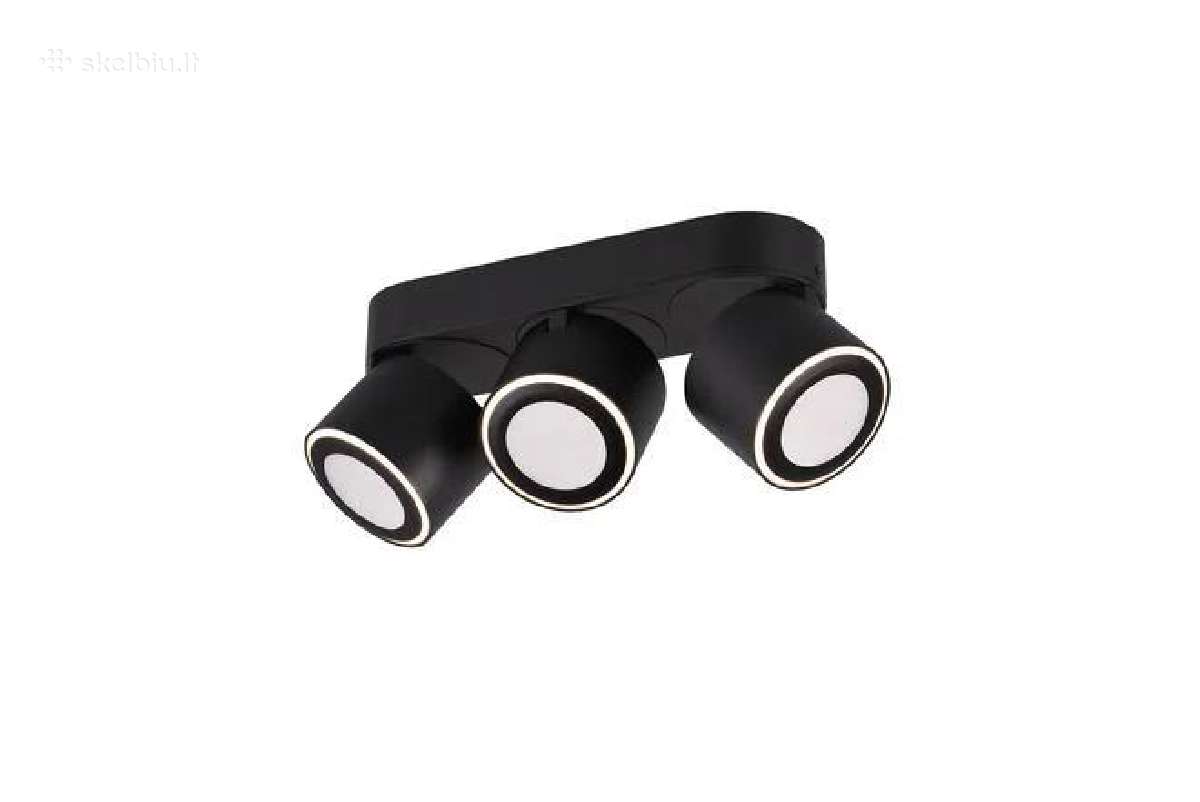 Šviestuvas nukreipiamasis Trio Taurus, 5 W, LED