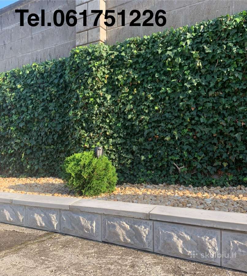 Pigiausi blokeliai - nuotraukos Nr. 8