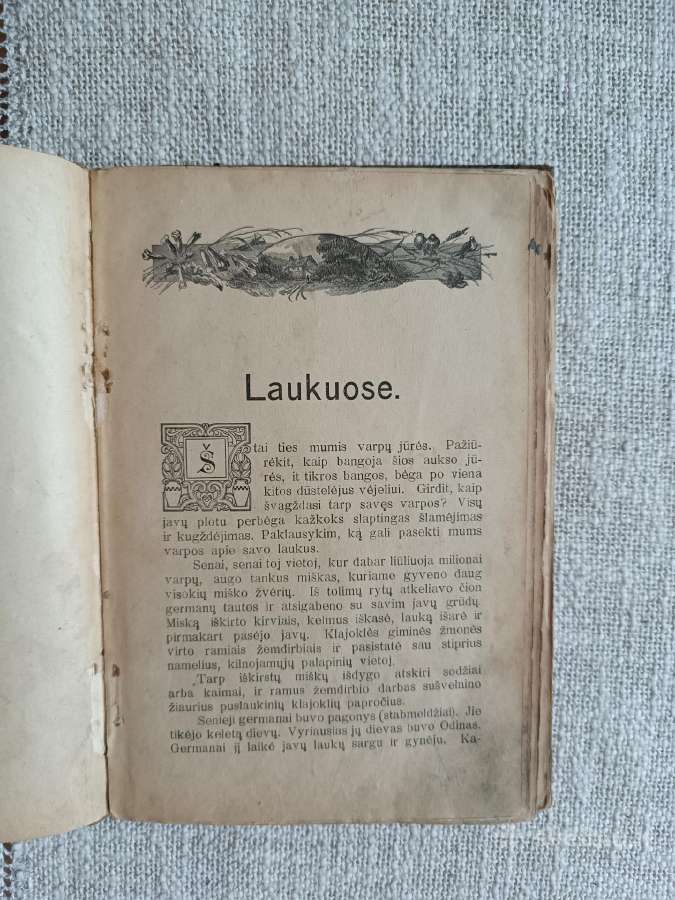 Antikvarinė knyga Laukuose ir pievose - nuotraukos Nr. 5