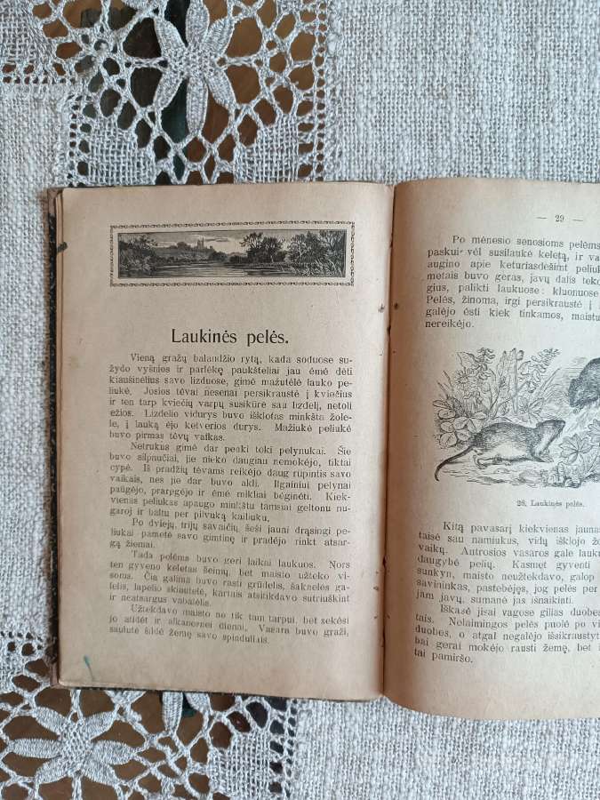Antikvarinė knyga Laukuose ir pievose - nuotraukos Nr. 6