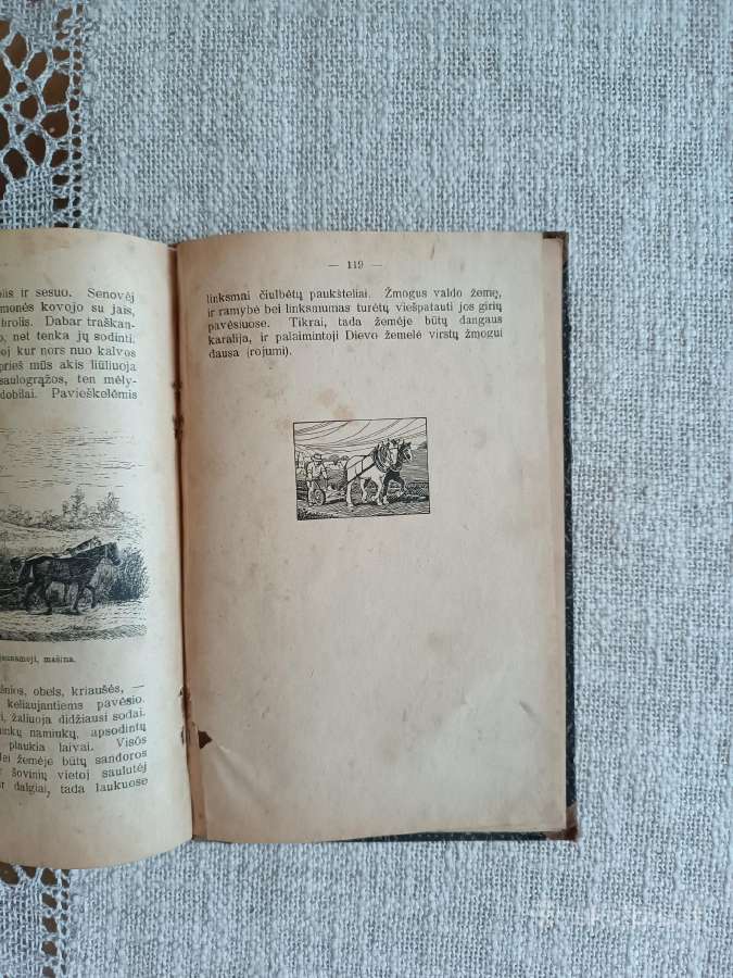 Antikvarinė knyga Laukuose ir pievose - nuotraukos Nr. 7