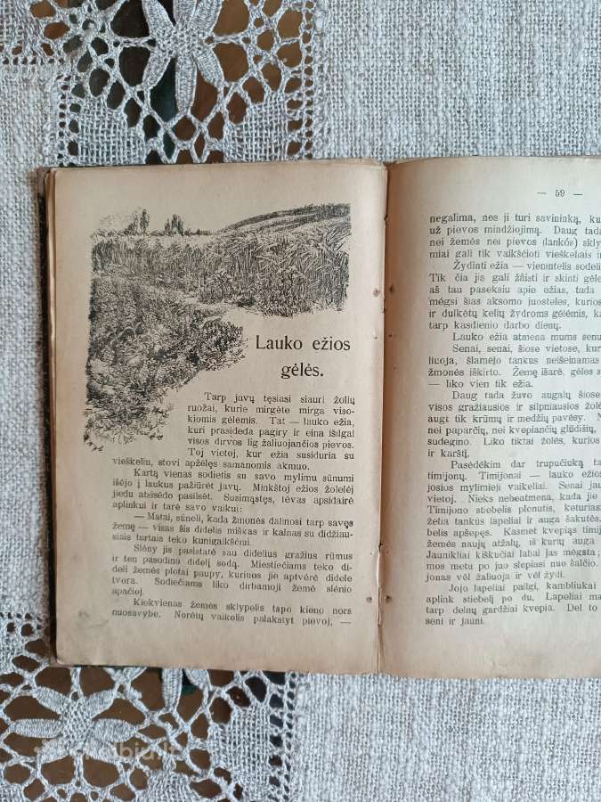 Antikvarinė knyga Laukuose ir pievose - nuotraukos Nr. 8