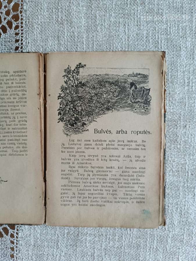 Antikvarinė knyga Laukuose ir pievose - nuotraukos Nr. 9