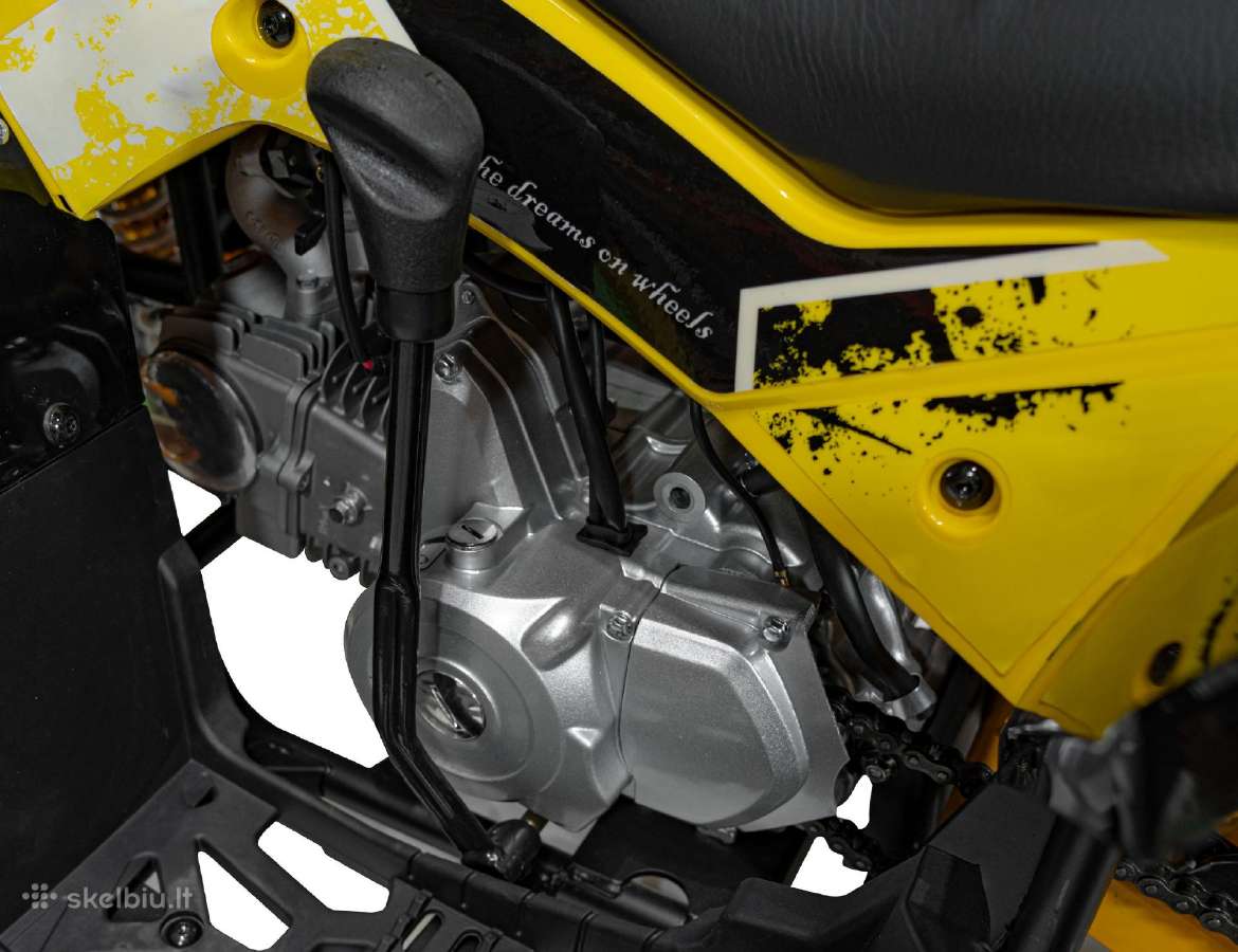 Benzininis keturratis Renegade Hiperfect 125cc - nuotraukos Nr. 20