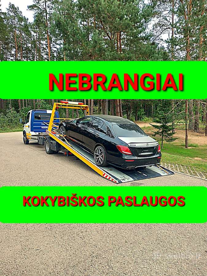 Tralas Traliukas Technine Pagalba Kelyje Kaunas - nuotraukos Nr. 32