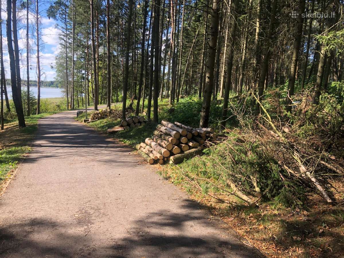 Vejos, žolės pjovimas, apleistų sklypų tvarkymas. - nuotraukos Nr. 23