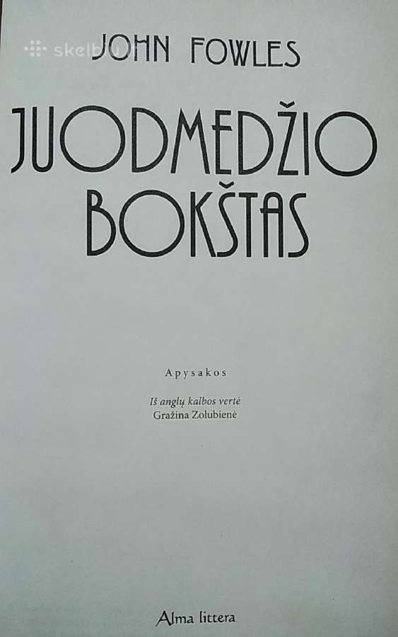 Juodmedžio bokštas - nuotraukos Nr. 2
