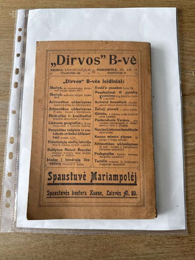 Įvadas į bendrąją literatūrą 1923 m. - nuotraukos Nr. 8