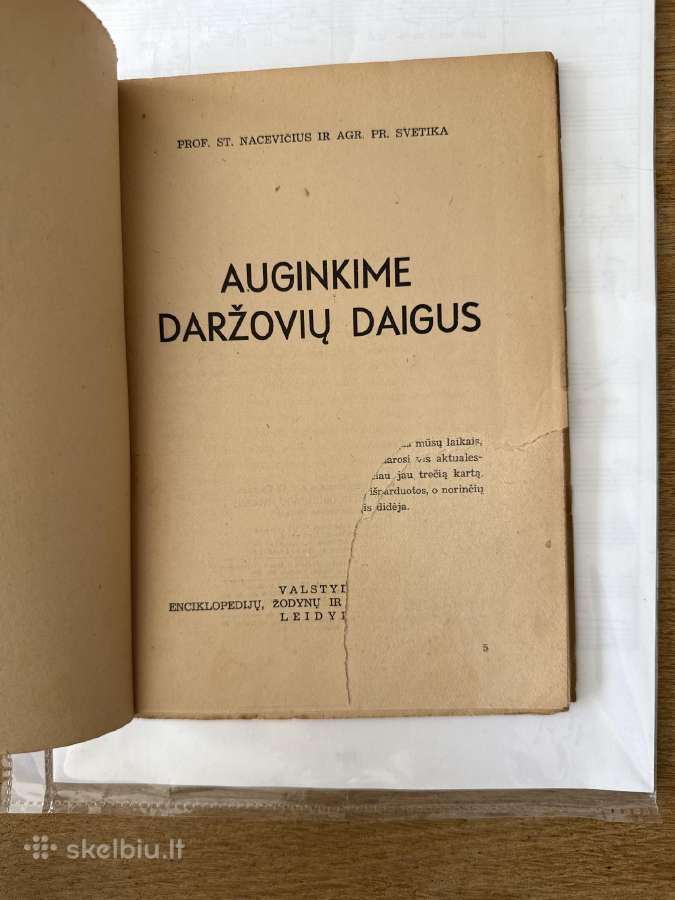Auginkime daržovių daigus 1946 m. - nuotraukos Nr. 2