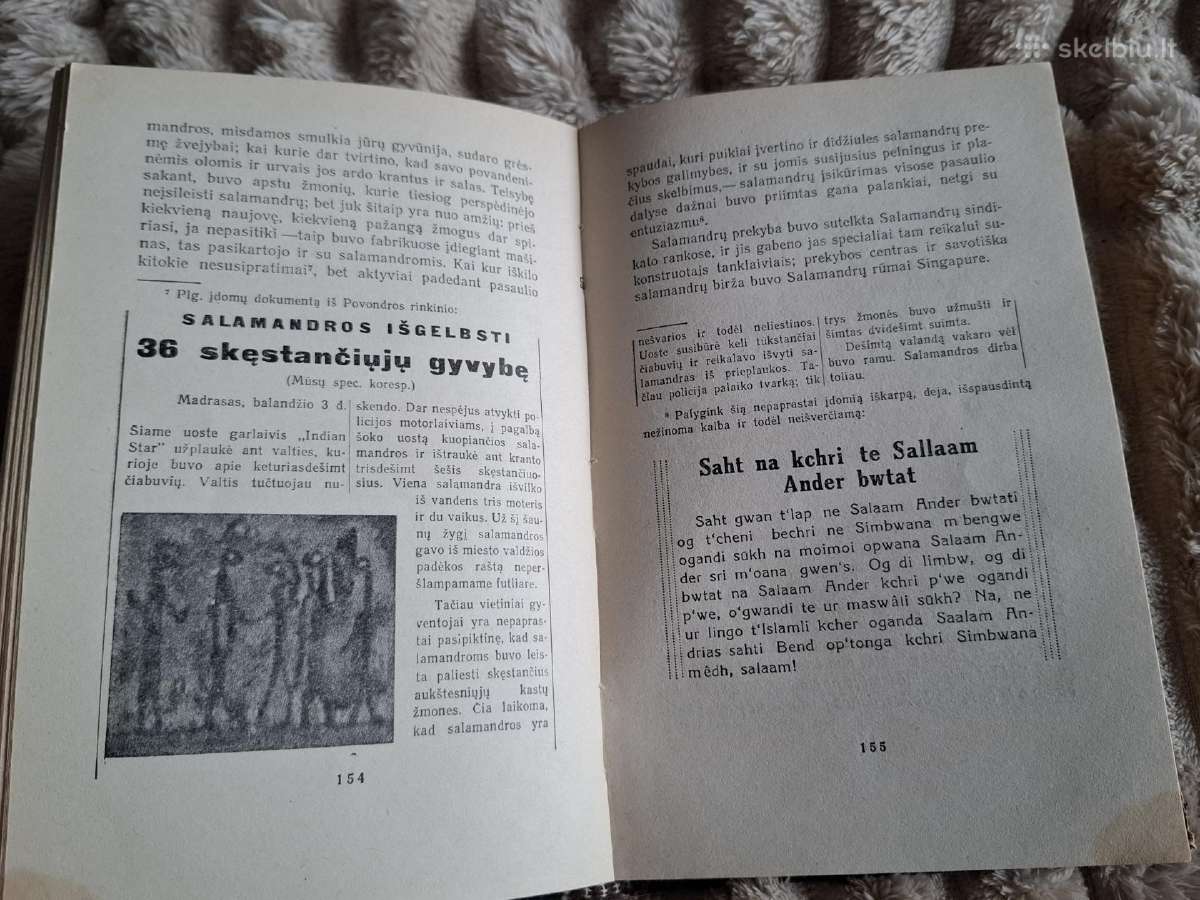 Karas su salamandromis - nuotraukos Nr. 4