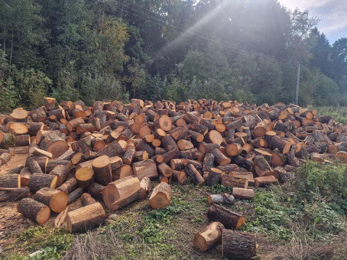 Sausos juodalksnio beržo ažuolo uosio pigiausiai. - nuotraukos Nr. 14